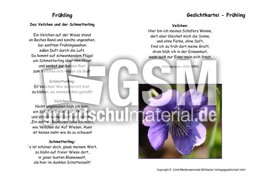 Veilchen-Schmetterling-Lenau.pdf